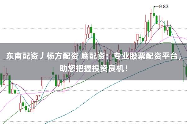 东南配资丿杨方配资 鹰配资：专业股票配资平台，助您把握投资良机！
