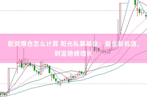 配资爆仓怎么计算 阳光私募基金：掘金新机遇，财富稳健增长