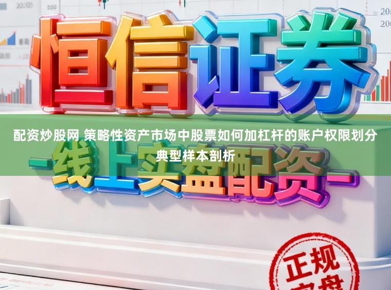 配资炒股网 策略性资产市场中股票如何加杠杆的账户权限划分典型样本剖析