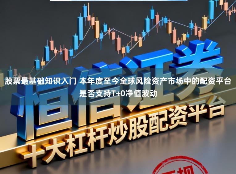 股票最基础知识入门 本年度至今全球风险资产市场中的配资平台是否支持T+0净值波动