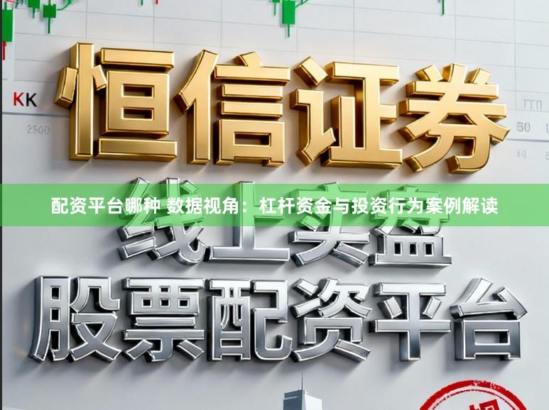 配资平台哪种 数据视角：杠杆资金与投资行为案例解读